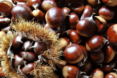 19° Chestnut Festival - Peglio