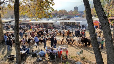 Fiera dei Morti a Sorico