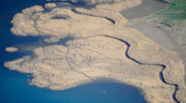 Eventi di febbraio alla Riserva Naturale Pian di Spagna e Lago di Mezzola