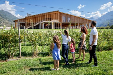 Visite guidate in fattoria